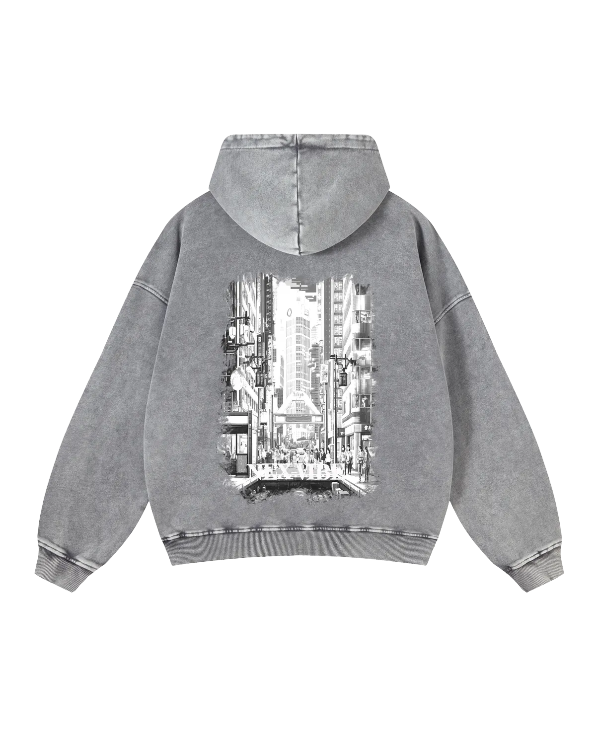 hoodie-9C9CA1-back