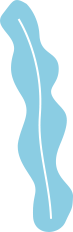 mode1-B41818-back